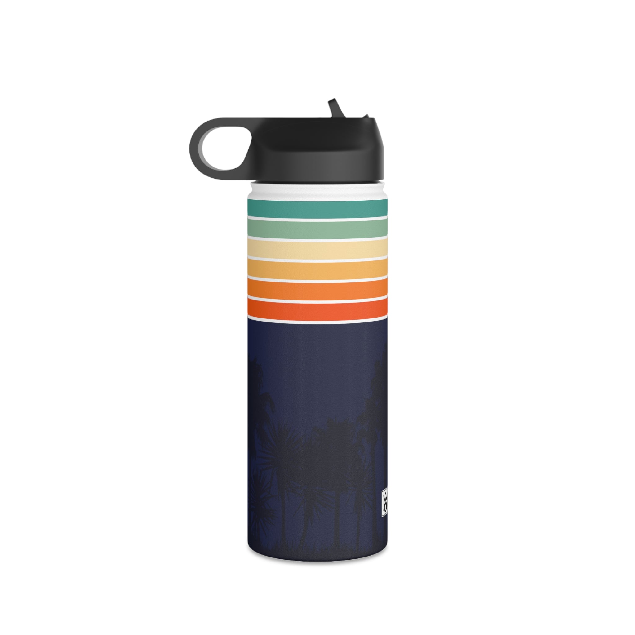 Stainless Steel Water Bottle, Standard Lid