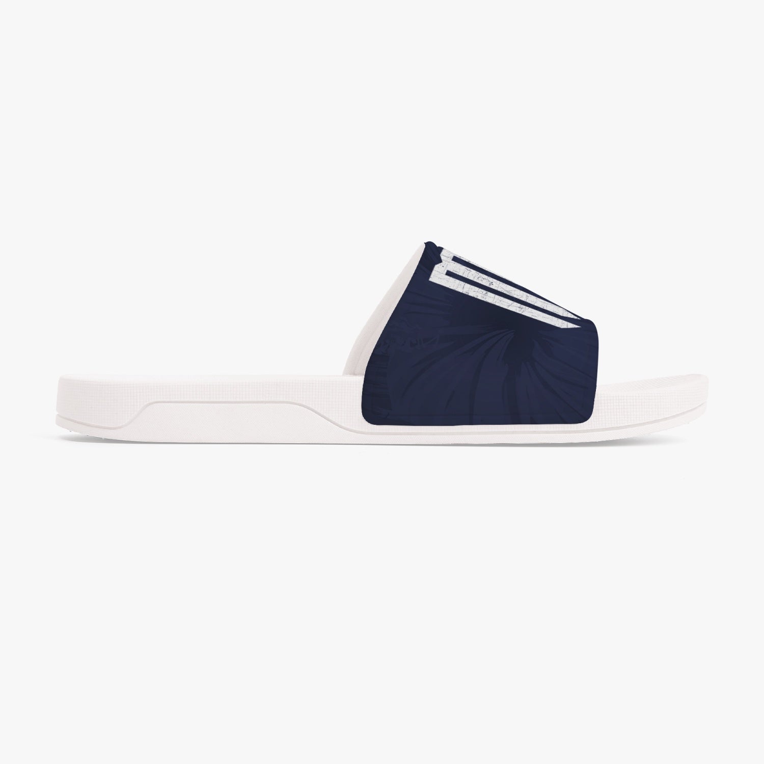 Navy Slides